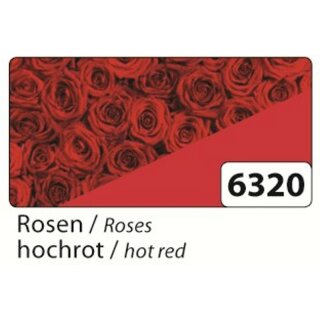 Passepartout Karten mit Kuverts Rosen