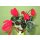 Alpenveilchen rot ca. 28 cm Strauß mit 5 Blüten Kunstblume Dekoration Weihnachten