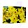 Geschenktasche groß Blumen 25x8x34 cm Narzissen Krokus