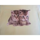 T-Shirt Katzen 110/116 hellgelb 5-6 Jahre