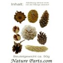 Potpourri klein Mixsortiment hell Herbst-Winter Dekoration sortiert Nature - Parts