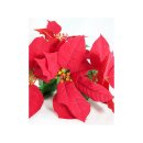 Weihnachtsstern rot ca. 40 cm Strauß mit 7 Blüten Kunstblume Dekoration